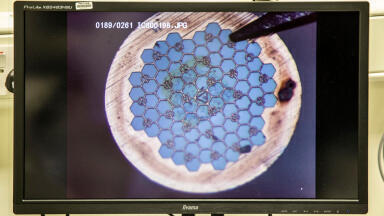 Essential Science: Crick Exhibition Highlights Craft & Graft